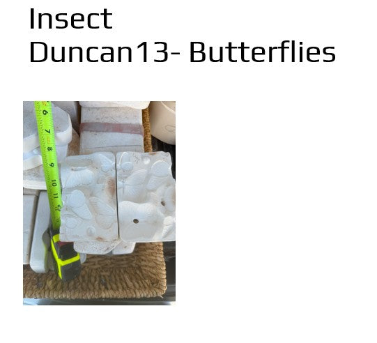 Duncan 13 - Butterflies