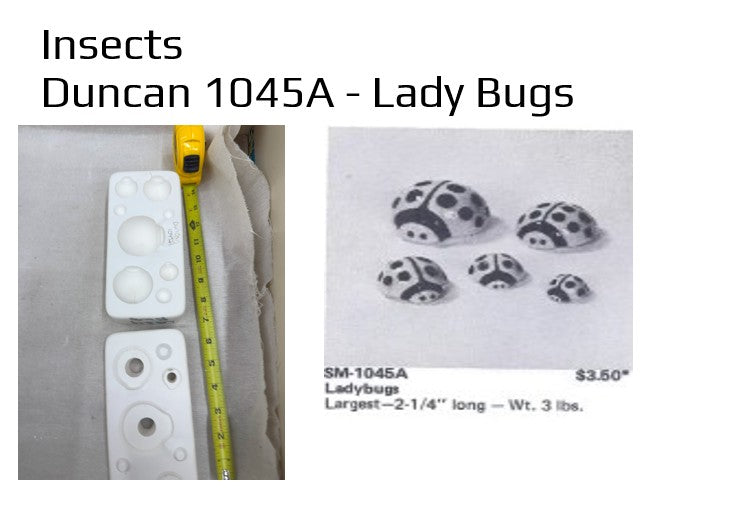 Duncan 1045A - Lady Bugs