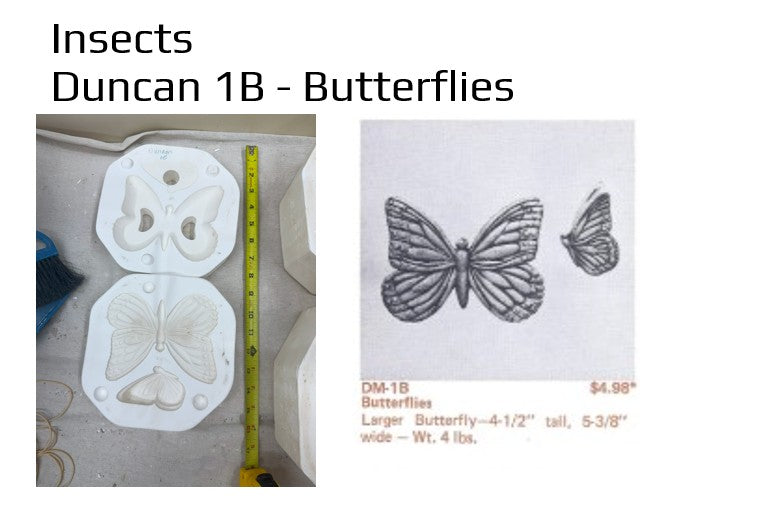 Duncan 1B - Butterflies