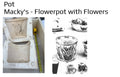 Macky's Flowerpot