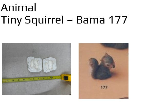 Tiny Squirrel