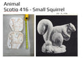 Small Squirrel
