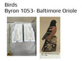 Byron 1053 - Baltimore Oriole