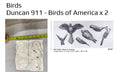 Duncan 911 - Birds of America
