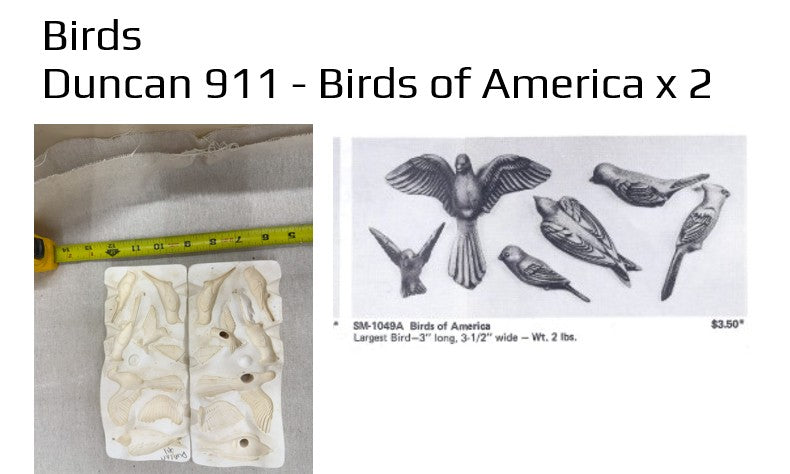 Duncan 911 - Birds of America