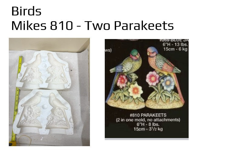 Mikes 810 - Two Parakeets