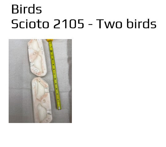 Scioto 2105 - Two Birds