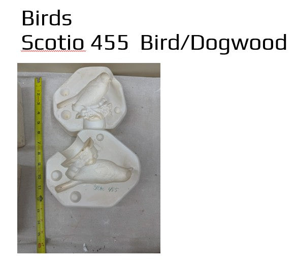 Scioto 455 - Bird on Dogwood