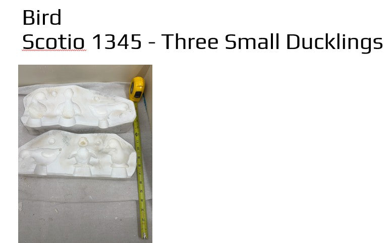 Scioto 1345 - Three Small ducklings