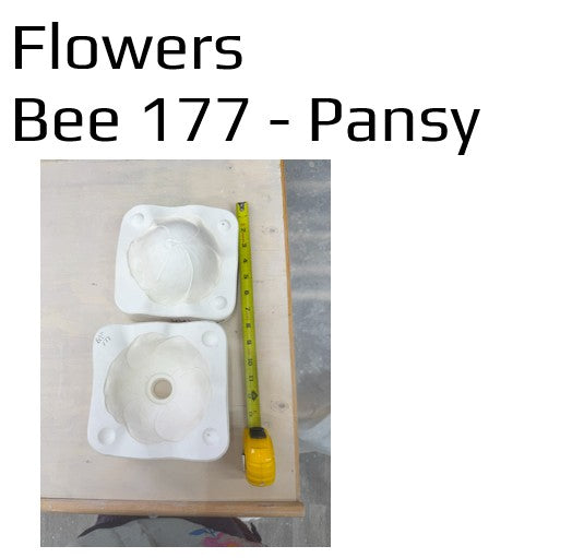 Bee 177 - Pansy
