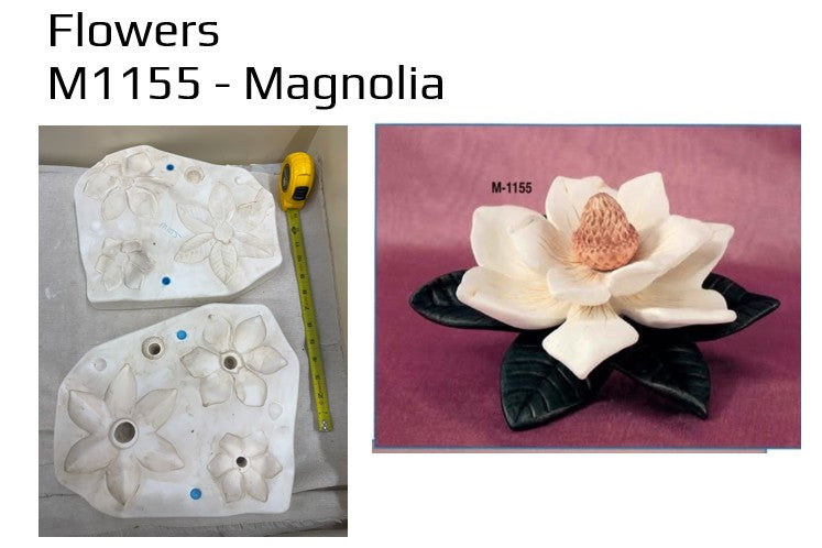 M1155 - Magnolia