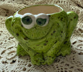 Frog Planter