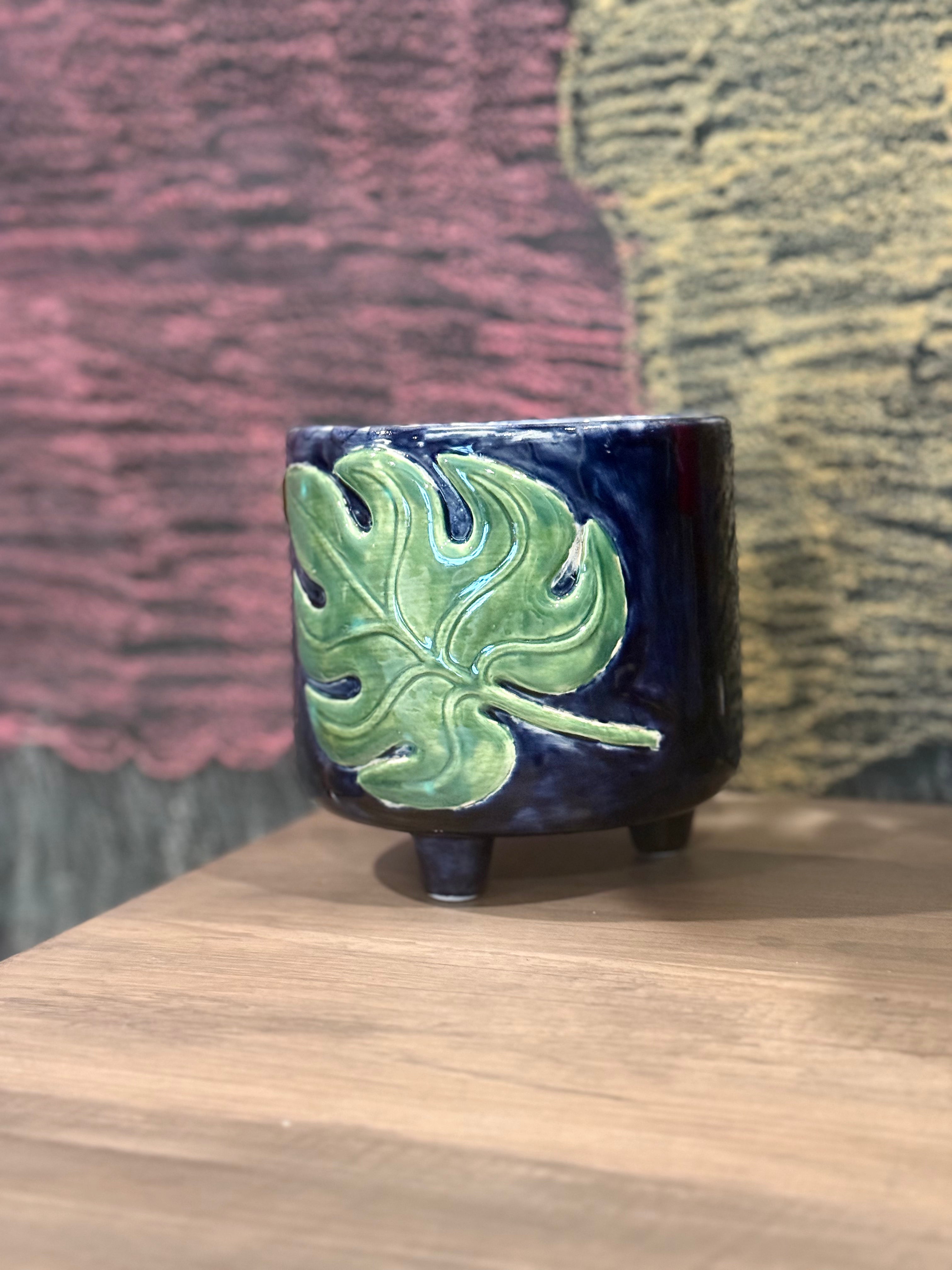 Monstera Pot