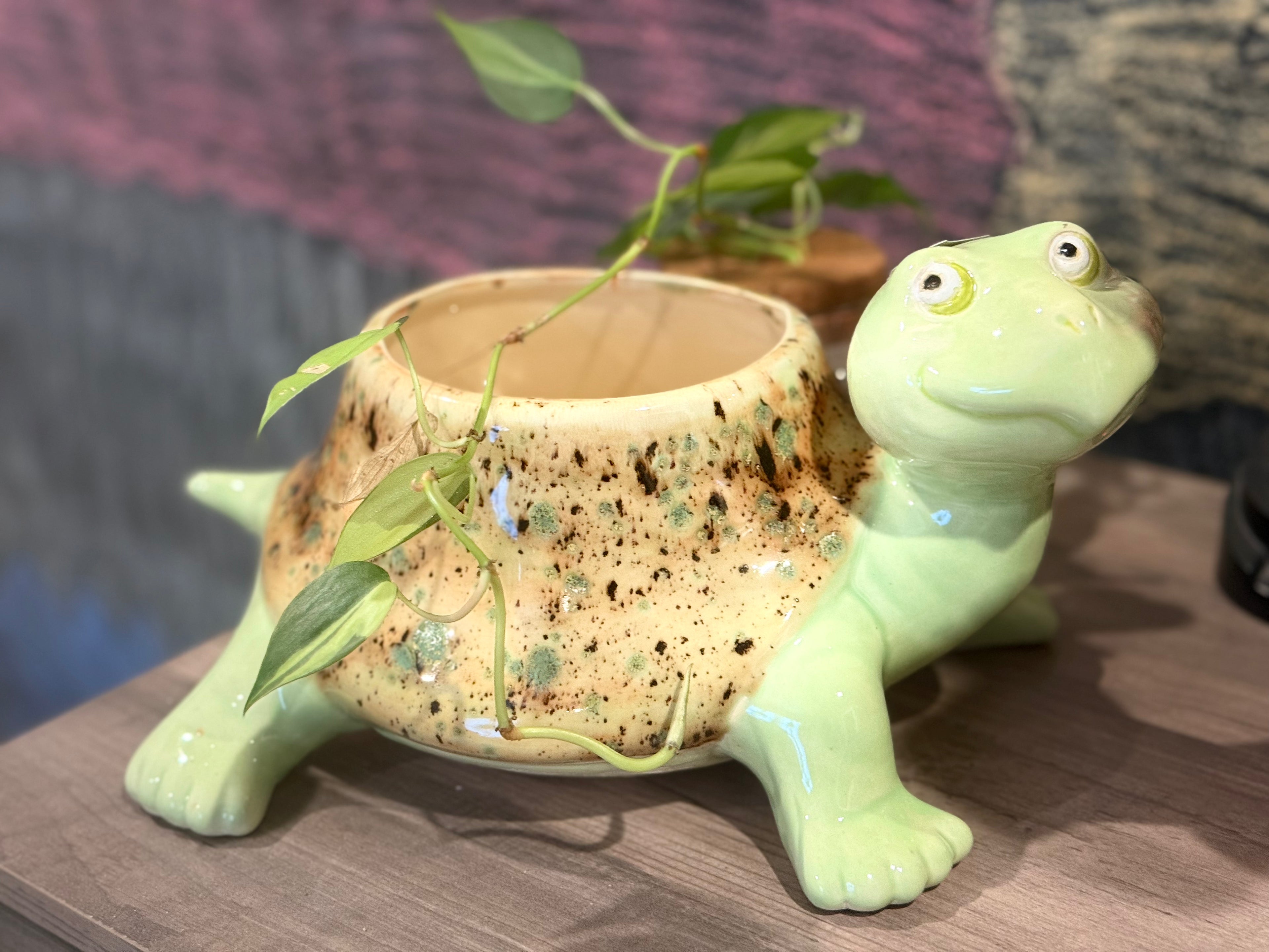 Friendly Turtle Planter