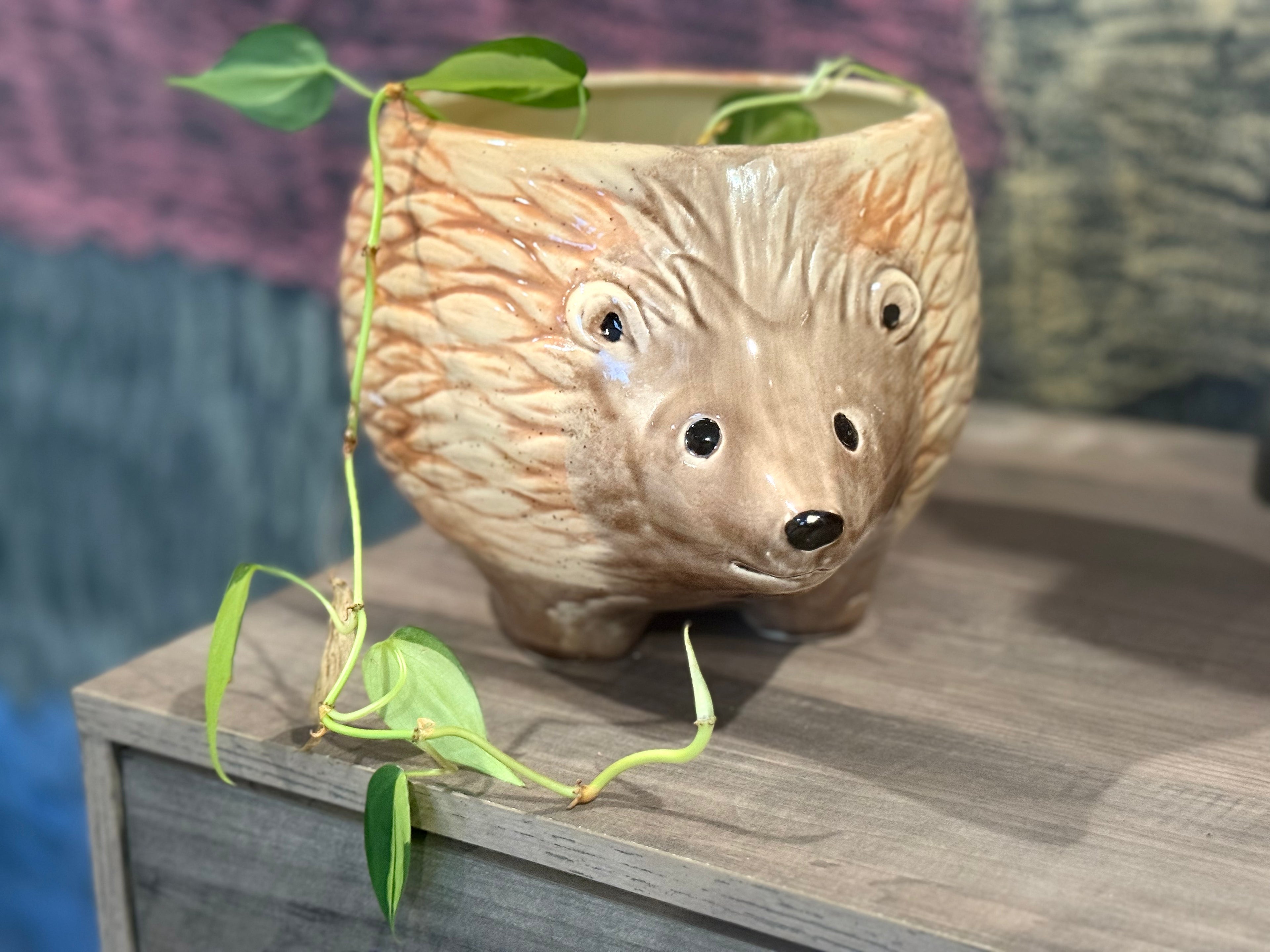Hedgehog Planter